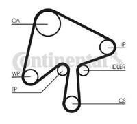 CONTITECH CT1136WP1 Kit cinghia distribuzione, pompa acqua