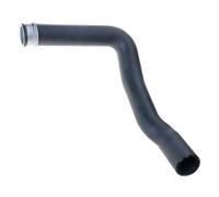Pompa dell'acqua del liquido di raffreddamento del radiatore superiore del motore Pompe dell'acqua Tubo di raffreddamento Accessori auto per C180 C200 C230 CL203 W203 S203 Tubo di raffreddamento del
