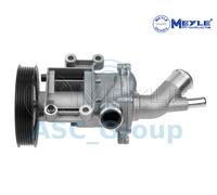 Pompa Dell'Acqua Di Raffreddamento Del Motore Meyle Ricambio 313 220 0003