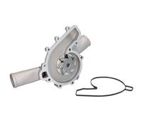 Pompa dell'acqua HEPU P1524