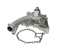 Pompa dell'acqua HEPU P170