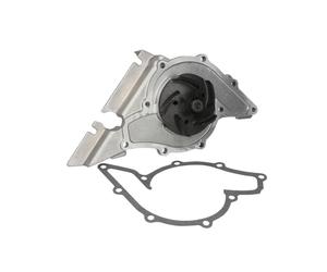 Pompa dell'acqua HEPU P544