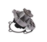 Pompa dell'acqua HEPU P602