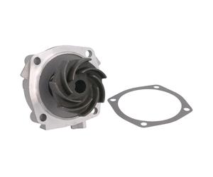 Pompa dell'acqua HEPU P620