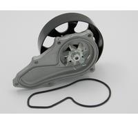 Pompa Dell'Acqua Honda Accord 2.0, 2.4 02-