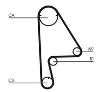 Pompa dell'acqua + kit cinghia di distribuzione CONTINENTAL CT862WP1