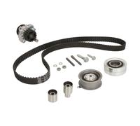 KIT CINGHIA DISTRIBUZIONE + POMPA ACQUA INA SEAT TOLEDO II 1.9 TDI KW:81 dal ...