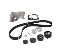 INA 530 0639 30 Kit cinghia distribuzione, pompa acqua