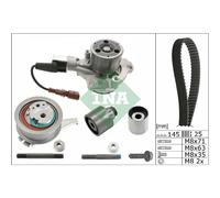 INA KIT DISTRIBUZIONE PRIMARIA CON WP - 530069930
