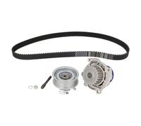 Pompa dell'acqua + kit cinghia di distribuzione SKF VKMC 01113-1