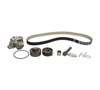 Pompa dell'acqua + kit cinghia di distribuzione SKF VKMC 01244
