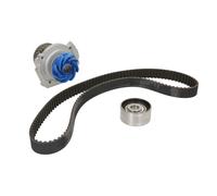 SKF VKMC 02209 Kit tendicinghia con pompa acqua