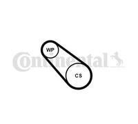 CONTITECH 3PK576 ELAST WP1 Pompa acqua + Kit cinghia Poly V