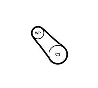 CONTITECH 3PK725 ELAST WP1 Pompa acqua + Kit cinghia Poly V