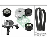 Ina 529 0301 30 puleggia