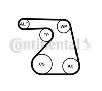 Pompa dell'acqua + kit cinghia trapezoidale 6PK1217WP1 CONTINENTAL CTAM per OPEL