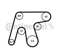 Pompa dell'acqua + kit cinghia trapezoidale 6PK1642WP3 CONTINENTAL CTAM