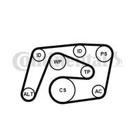 Pompa dell'acqua + kit cinghia trapezoidale 6PK2260WP3 CONTINENTAL CTAM