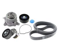 Pompa dell'acqua + kit cinghia trapezoidale VKMC 31154 SKF