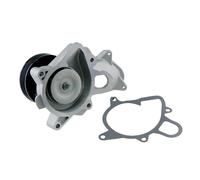 Pompa Dell'Acqua Land Rover Freelander I 2.0td -2006, Rover 75 2.0td 1999-