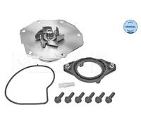 Pompa Dell'Acqua Originale MEYLE 5132200006 Per Volvo S80 II V70 III XC60