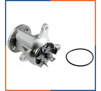 NTY CPW-CT-033 Pompa acqua