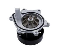 Pompa dell'acqua Per GAC Per GS8 2016-2022 2.0T 320T 390T | Per GS4 PIÙ GM8 GA8 M8 GS7 GS8S 2019 Gruppo Pompa Dell'acqua Per Motori 4B18 E 4B20 - Componenti Del Sistema Di Raffreddament
