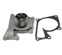 Pompa Dell'Acqua Per Renault Megane Iii 1.5Dci 09-, Kangoo 1.5Dci 08-