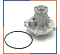NTY CPW-VW-026 Pompa acqua