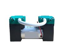 Pompa dell'acqua, Pompa Elettrica Micro Vacuum Pop, Diaframma Silenzioso A Doppia Testa Ad Aria Piccola,per rubinetto dell'acqua(TG-018(18L/m),DC24)