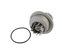 Pompa dell'acqua THERMOTEC D10007TT