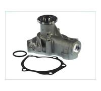 Pompa dell'acqua THERMOTEC D15043TT