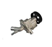 Pompa dell'acqua THERMOTEC D1B029TT