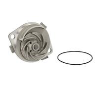 Pompa dell'acqua THERMOTEC D1F060TT