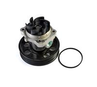 Pompa dell'acqua THERMOTEC D1F074TT