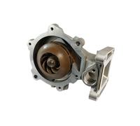Pompa dell'acqua THERMOTEC D1G055TT
