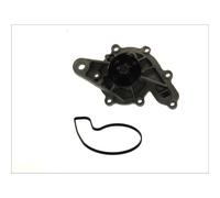Pompa dell'acqua THERMOTEC D1M043TT