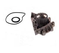 Pompa dell'acqua THERMOTEC D1P042TT