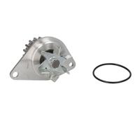 Pompa dell'acqua THERMOTEC D1P043TT
