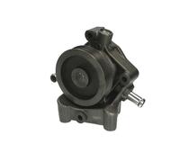 Pompa dell'acqua THERMOTEC D1P047TT