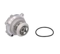Pompa dell'acqua THERMOTEC D1W040TT