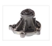 Pompa dell'acqua THERMOTEC D1W046TT