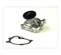 Pompa dell'acqua THERMOTEC D1X040TT
