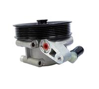 Pompa dello sterzo Adatto per Ford F150 F-150 Adatto per Raptor 6.2L Adatto per pompa servosterzo 2011 2012 2013 2014 BL3Z3A696A 7696955159 BL3Z-3A696-A N7120192 BL3V3A69