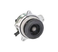 Pompa di Raffreddamento Acqua Adatto A per DAF XF106 Ø 113 MM, Collegamento SX