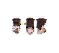 Pompa Di Servosterzo DRI Per BMW Serie 3 E46 5 E39 X3 X5 1095155 1095748