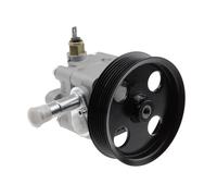 NTY SPW-MS-008 Pompa idraulica, sterzo