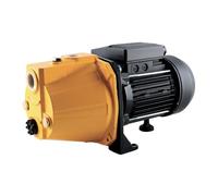 Pompa di superficie mono-cellulare 750 W, altezza massima di scarico 43 m