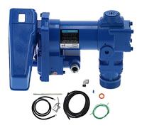 Pompa di trasferimento del carburante Electric Anti Explostion 20 Gpm DC 12V Trasferimento efficiente per le navi dei trattori prato