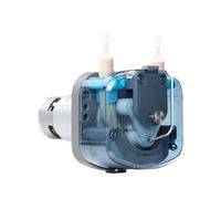 Pompa dosatrice ad alto flusso con pompa peristaltica da 2000 ml/min. Motore 12V 24V(BP2000-S64HB,12V)